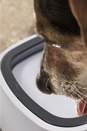 Bol de Apa Anti-Stropire pentru Animale, 1.5 l, Design Inteligent Compact, 18x10 cm, Alb [2]