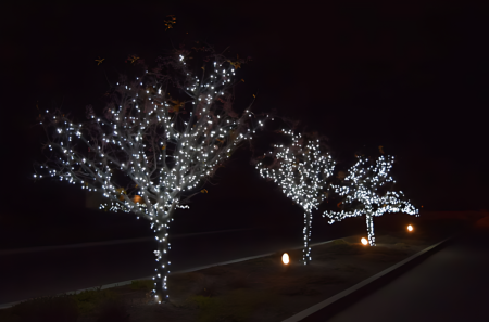 Instalatie de Craciun Tip Rola, 480 Becuri LED Alb, 100 m Liniari, pentru Interior/Exterior, Alb rece [5]