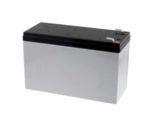 Acumulator Yuasa 12V 7Ah F2 AGM NP7-12L [1]