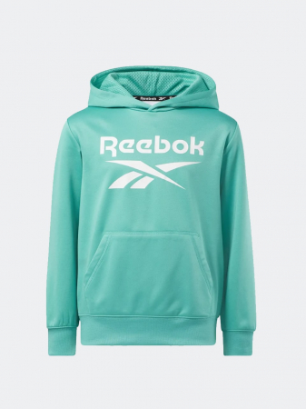 Copii - Reebok Classic VECTOR HOODIE - Hanorac