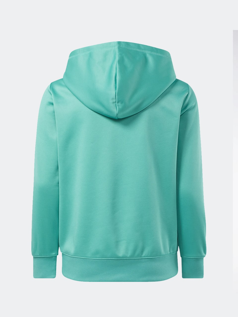 Reebok Classic VECTOR HOODIE - Hanorac [1]