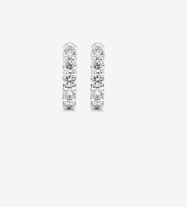 Cercei Brilliant Hoops 2 CT [2]