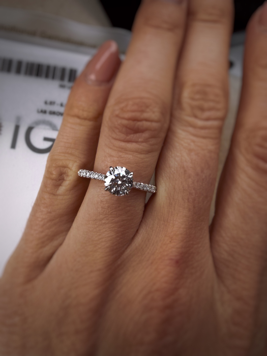 The One Pave Band Ring [4]