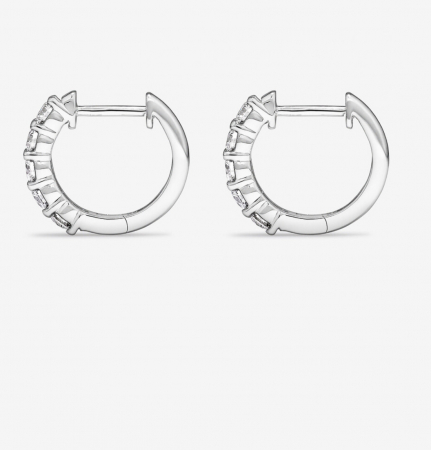 Cercei Brilliant Hoops 2 CT [2]