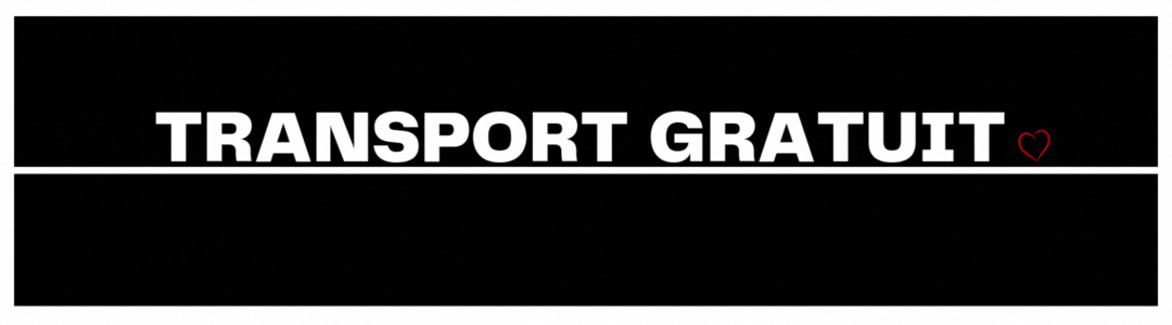 Free shipping Ghiozdane