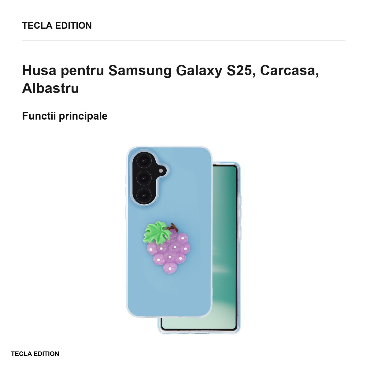 Husa Fruit 2in1 pentru Samsung Galaxy S25, Carcasa, Albastru [1]