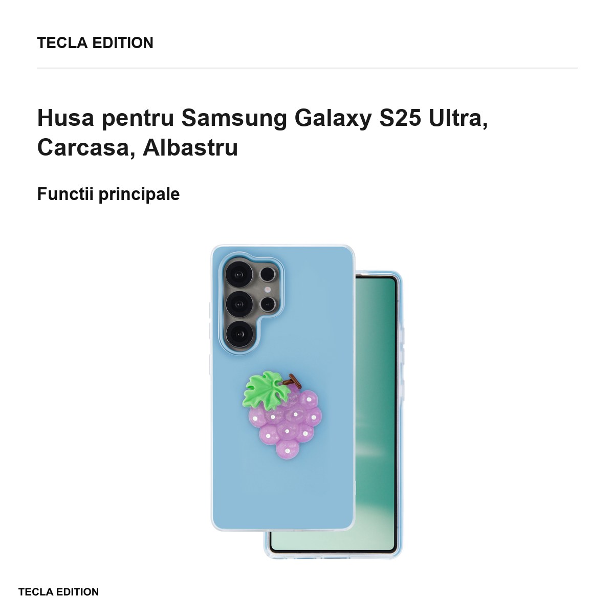 Husa Fruit 2in1 pentru Samsung Galaxy S25 Ultra, Carcasa, Albastru [1]