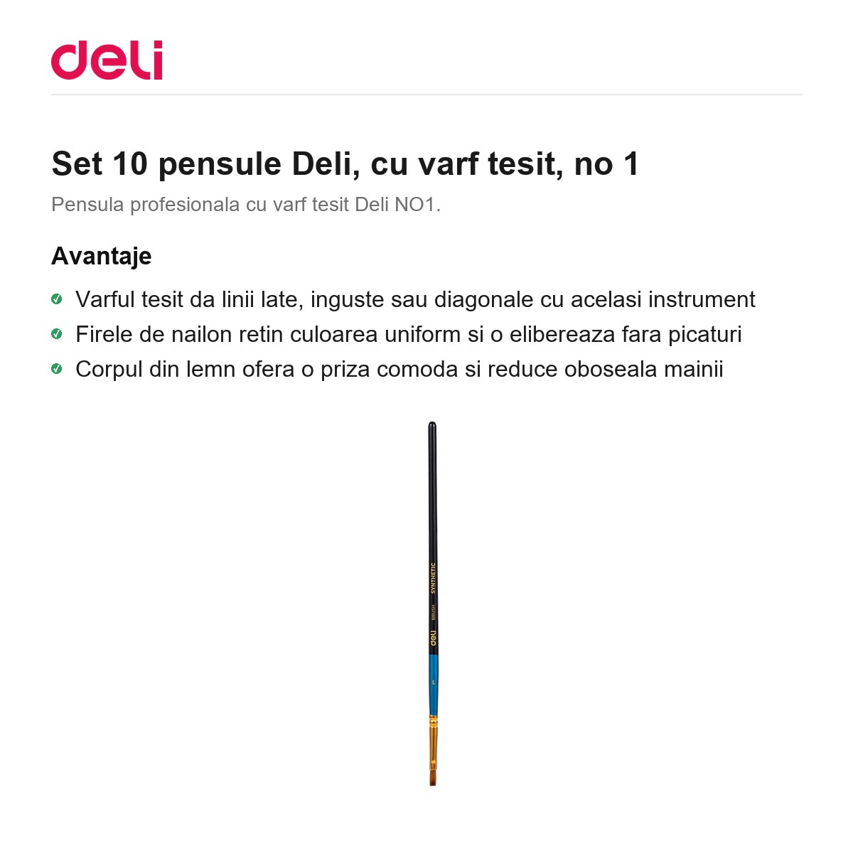 Set 10 pensule Deli, cu varf tesit, no 1 [1]