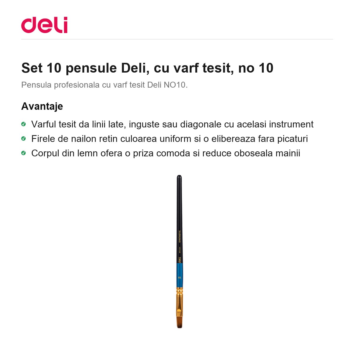 Set 10 pensule Deli, cu varf tesit, no 10 [1]