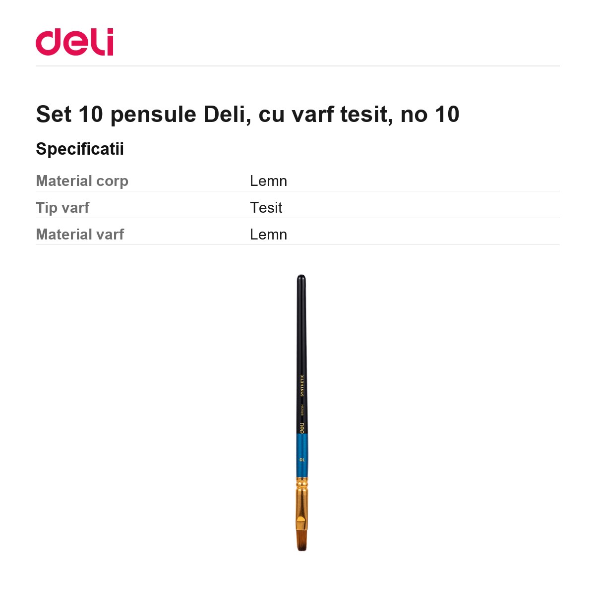 Set 10 pensule Deli, cu varf tesit, no 10 [2]
