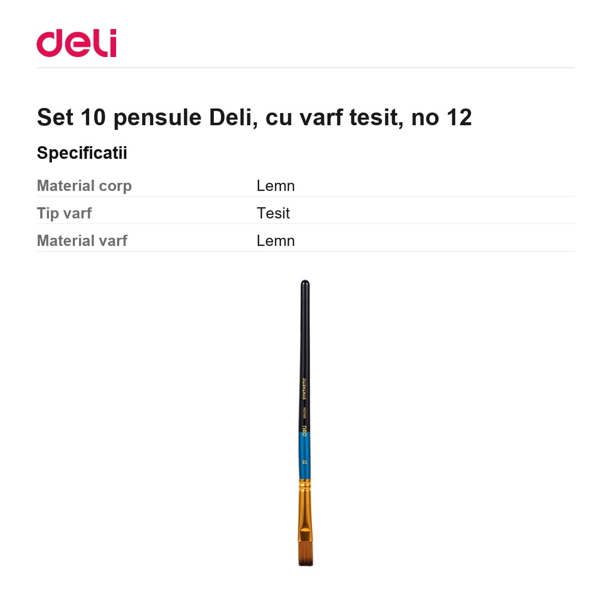 Set 10 pensule Deli, cu varf tesit, no 12 [2]