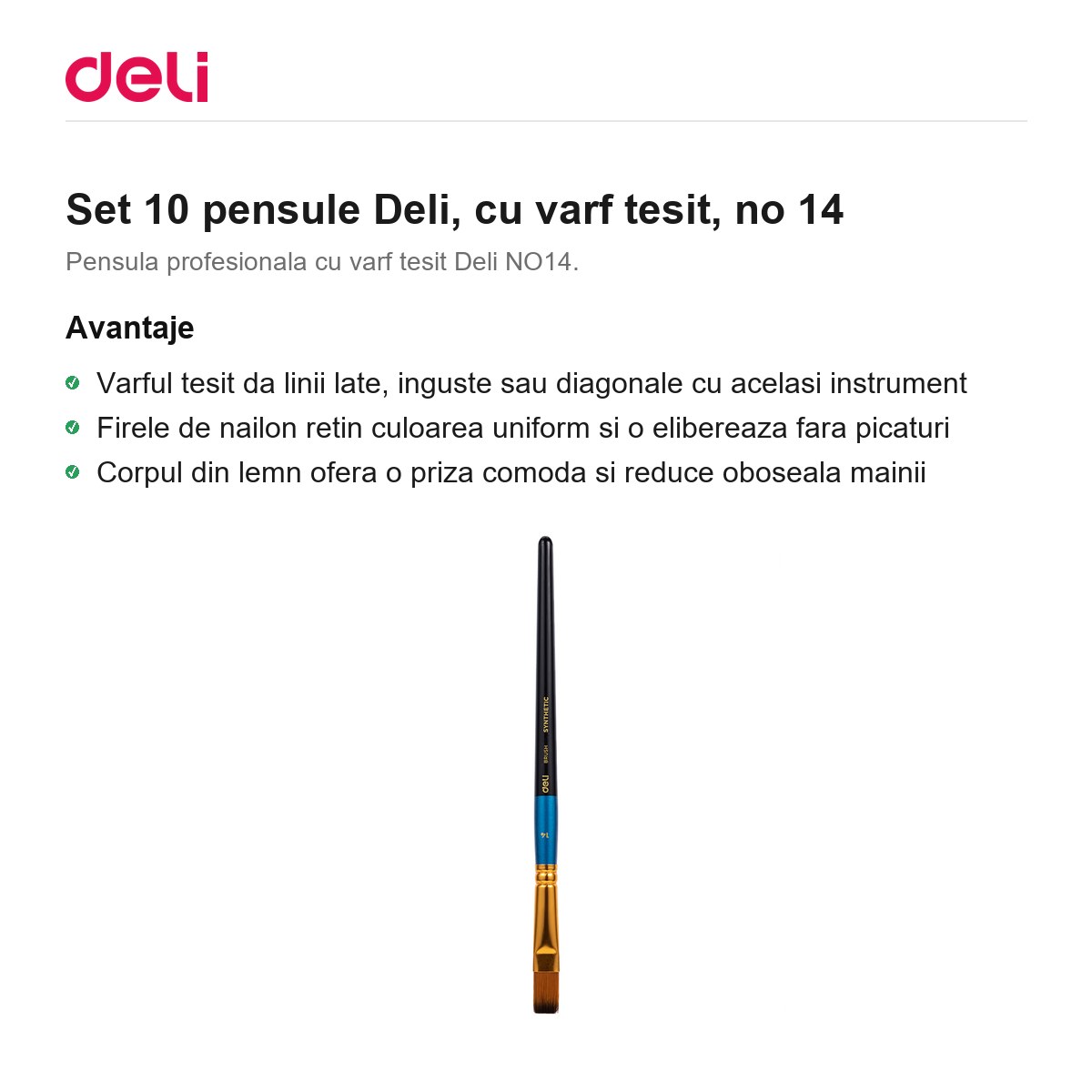 Set 10 pensule Deli, cu varf tesit, no 14 [1]