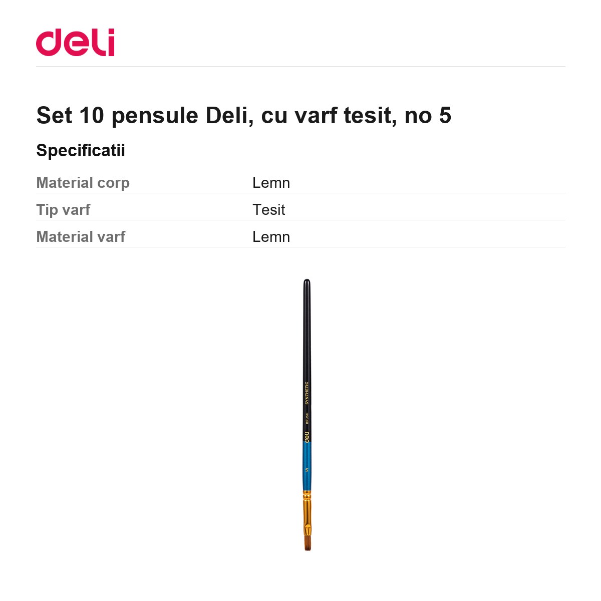 Set 10 pensule Deli, cu varf tesit, no 5 [2]
