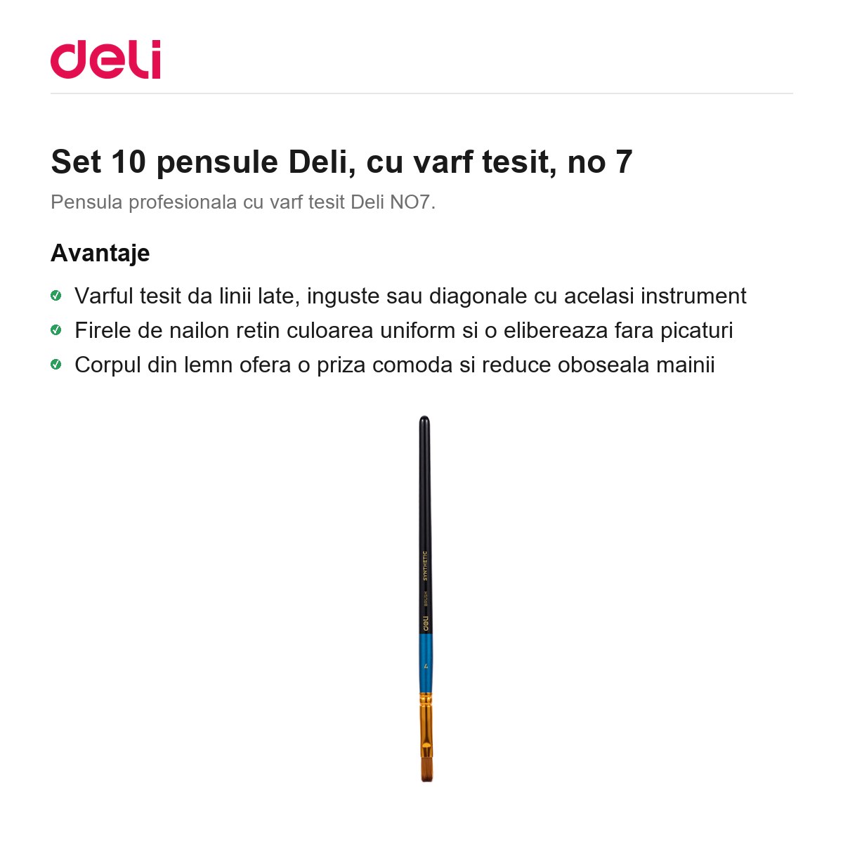 Set 10 pensule Deli, cu varf tesit, no 7 [1]