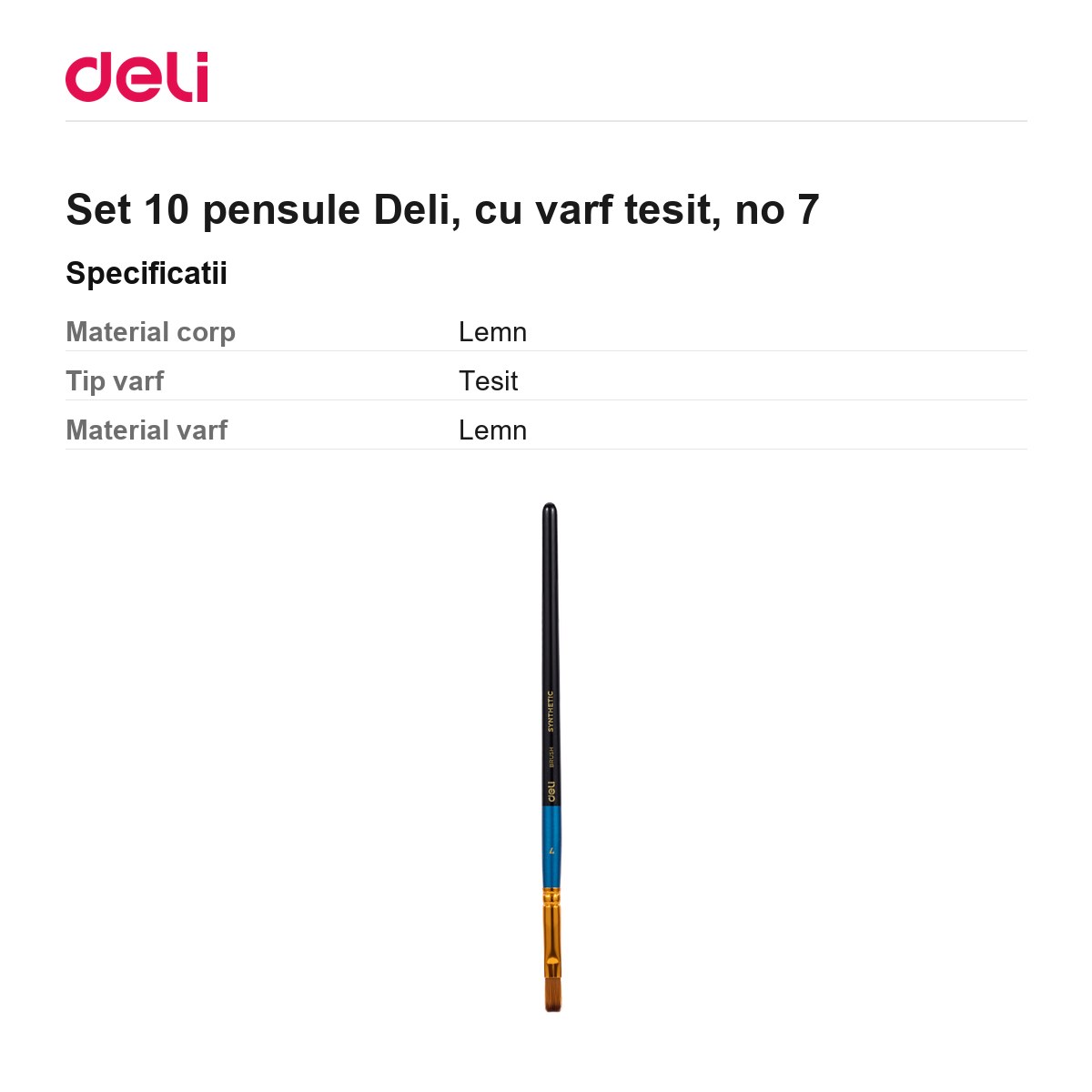 Set 10 pensule Deli, cu varf tesit, no 7 [2]