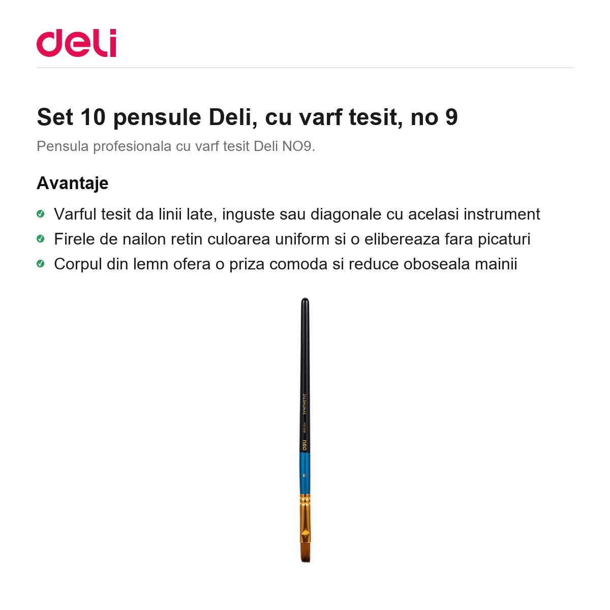 Set 10 pensule Deli, cu varf tesit, no 9 [1]