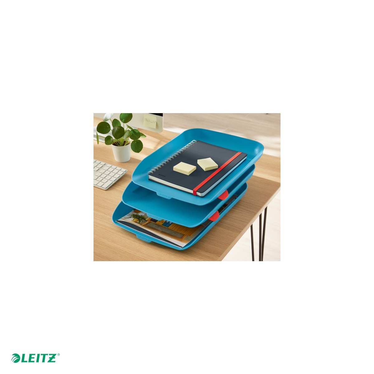 Set 3 tavite documente Leitz Cosy, PS, A4, albastru Celest [4]