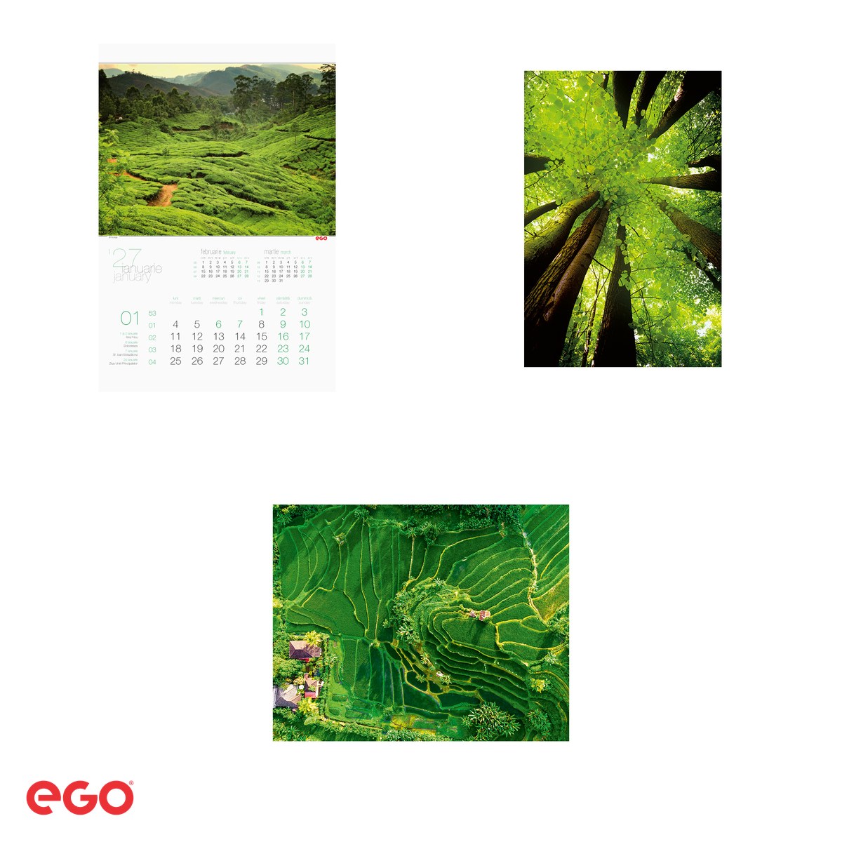 Calendar de perete Ego Green, 13 file, 31.4x46 cm, cu spira metalica [3]