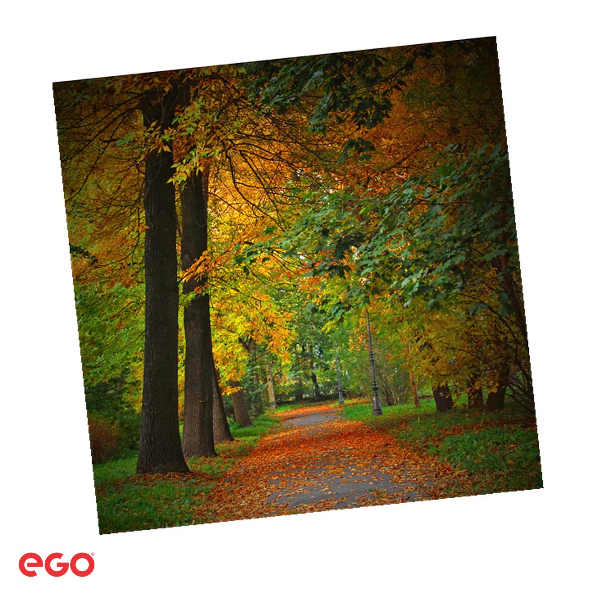 Calendare - Calendar de perete Ego Alei, 13 file, 31.4x46 cm, cu spira metalica
