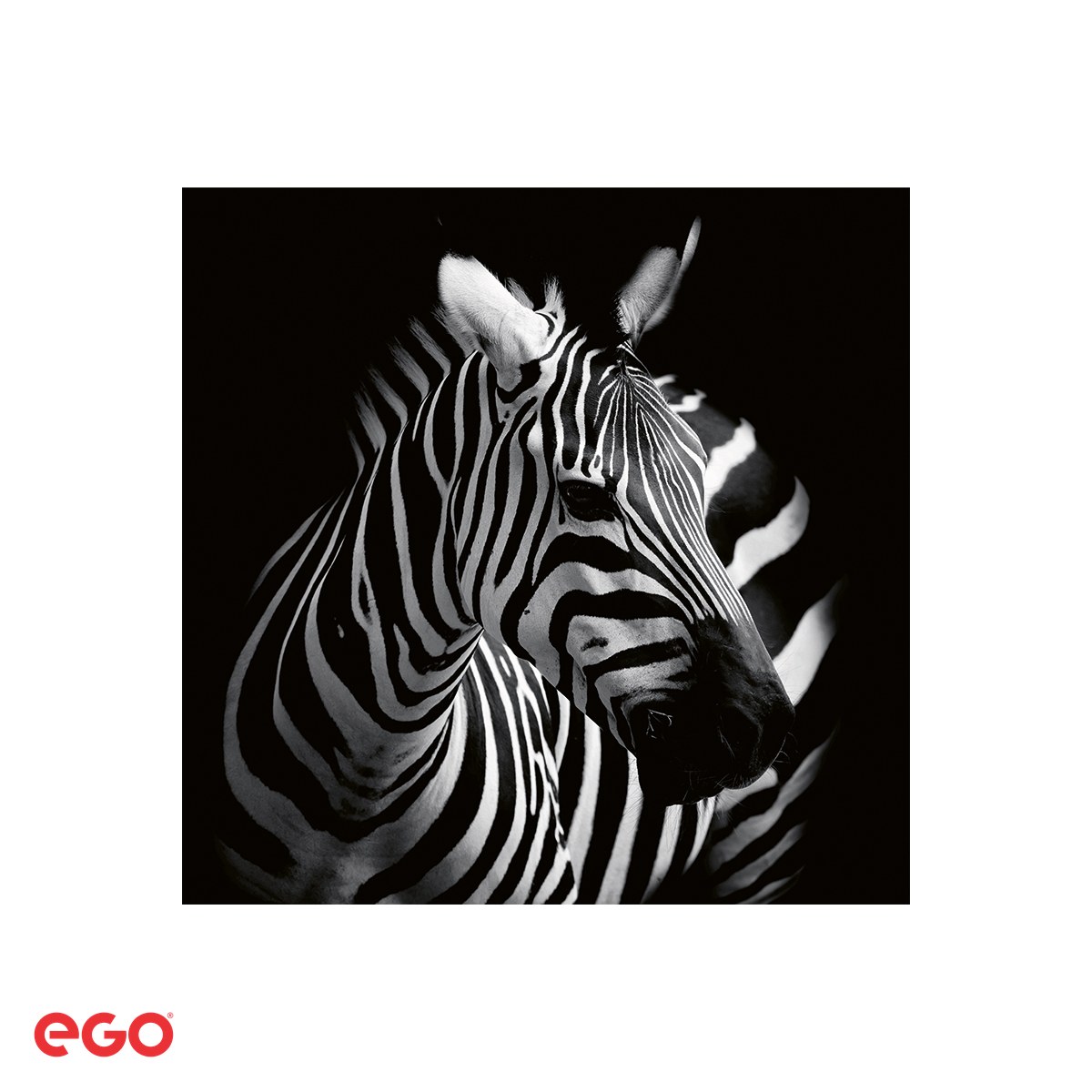 Calendar de birou Ego Animale, 13 file, 20x10 cm, cu spira metalica [4]