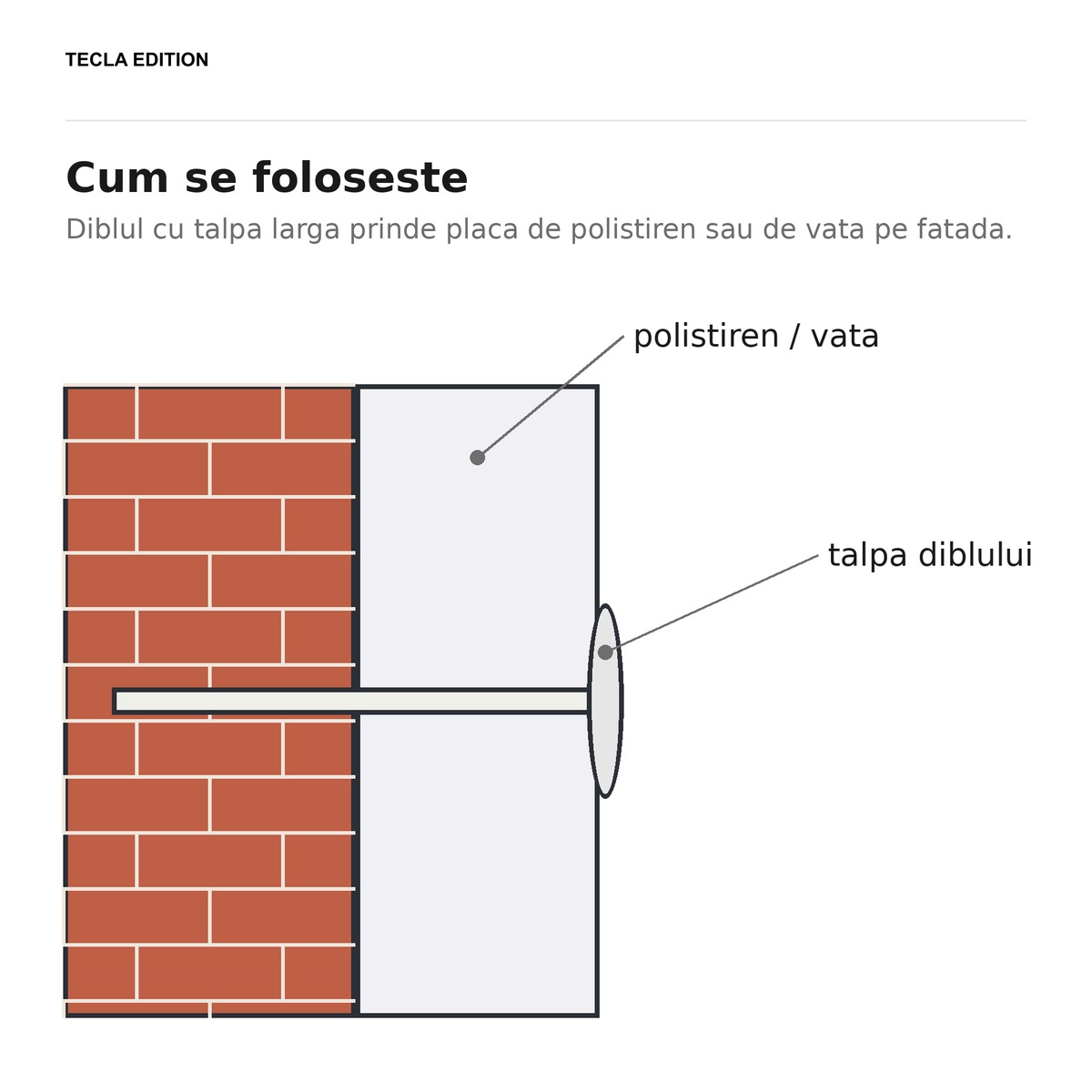 Set 200 dibluri cu cui pentru termoizolatie, 10x110 mm, ciuperca 60 mm, tin placa de polistiren pe fatada fara ca ea sa se desprinda [3]