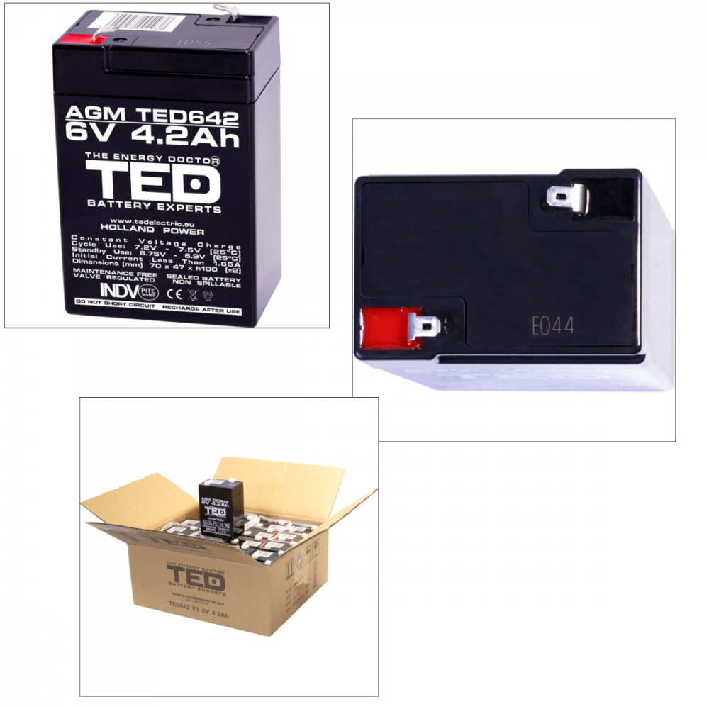 Baterie 6V 4.2Ah VRLA AGM Stationara TED Electric, pentru UPS, Echipamente Medicale si Sisteme de Securitate, 70 x 48 x 101 mm, TED642 [4]