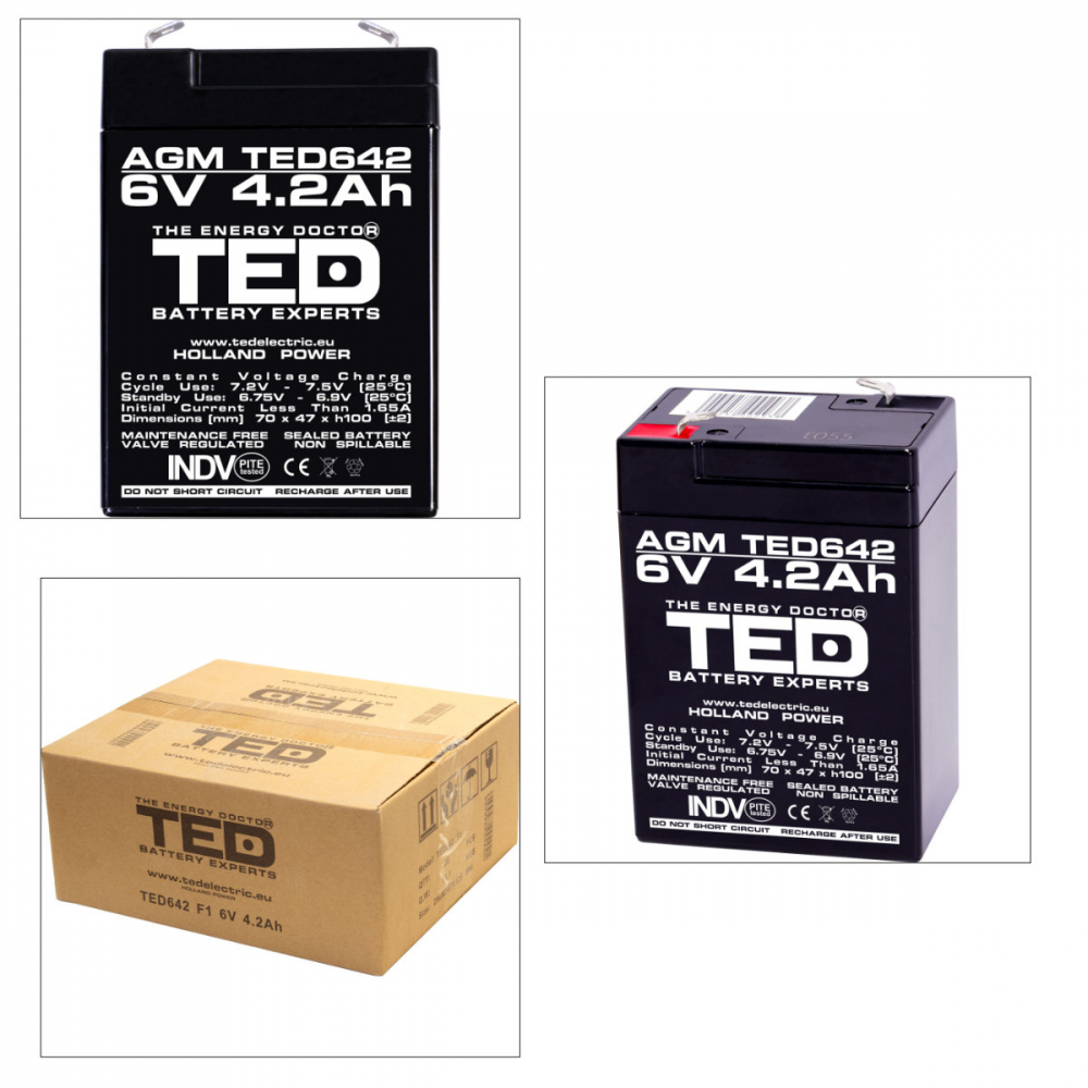 Baterie 6V 4.2Ah VRLA AGM Stationara TED Electric, pentru UPS, Echipamente Medicale si Sisteme de Securitate, 70 x 48 x 101 mm, TED642 [5]