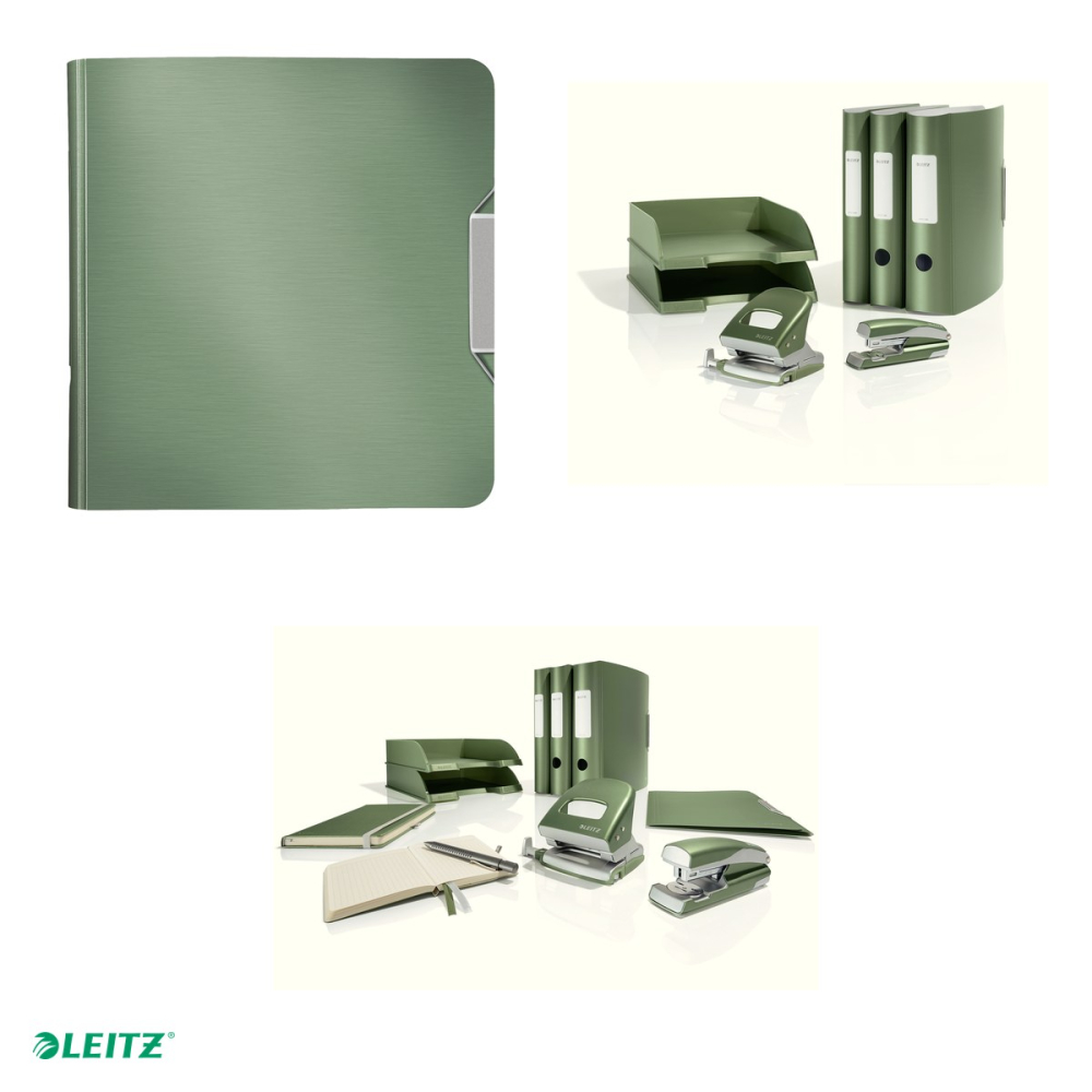 Biblioraft Leitz 180° Active Style, polyfoam, A4, 82 mm, pentru arhivare, fistic [5]