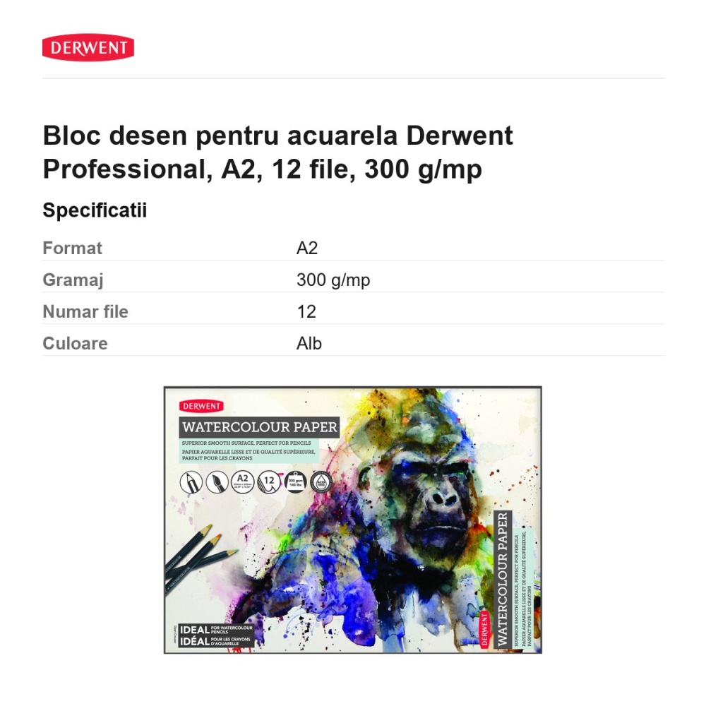 Bloc desen pentru acuarela Derwent Professional, A2, 12 file, 300 g/mp [3]
