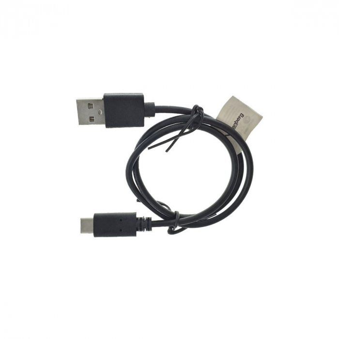 Cablu Lanberg USB 2.0 tata la USB tip C tata, 50cm, negru [2]