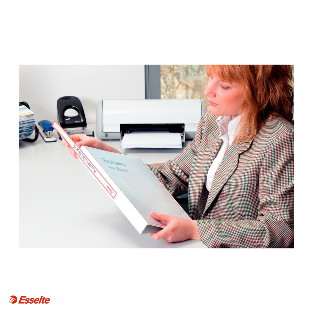 Caiet mecanic Esselte Panorama, PP/PP, A4, mecanism 4DR, inel 20 mm, capacitate 180 coli (80 g/mp), hartie 80 g/mp, alb [5]