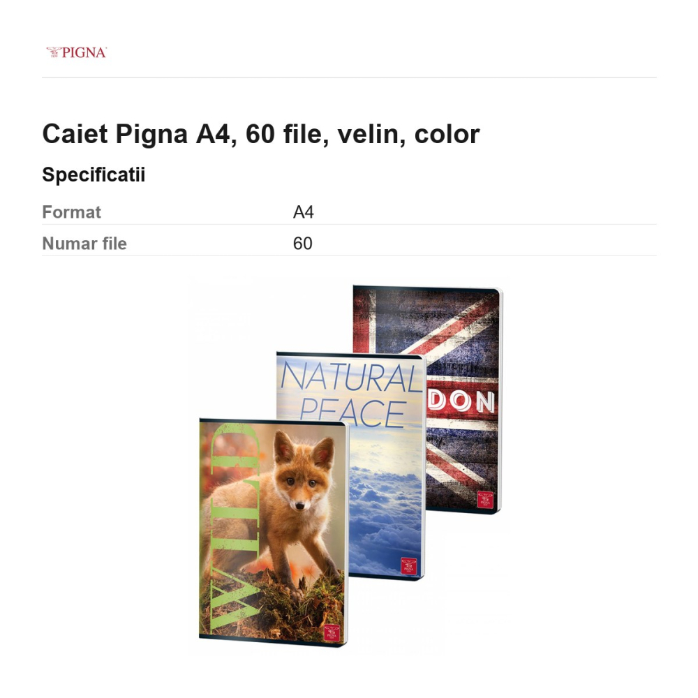 Caiet Pigna A4, 60 file, velin, color [3]