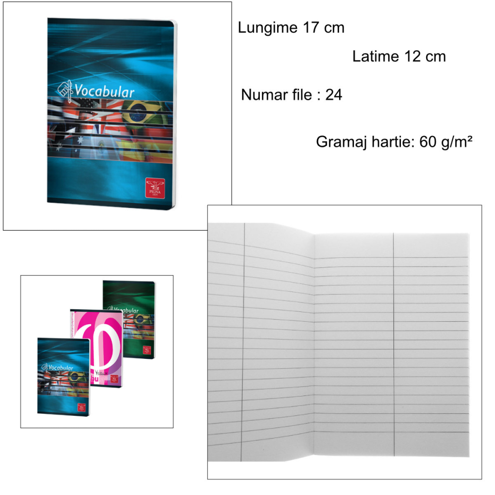 Caiet Vocabular 24 File pentru Organizare Eficienta a Cuvintelor, Uz Scolar si Studiu Individual, Design Lucios Multiculoare [3]
