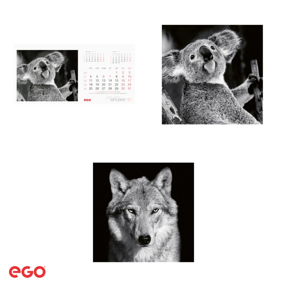 Calendar de birou Ego Animale, 13 file, 20x10 cm, cu spira metalica [4]