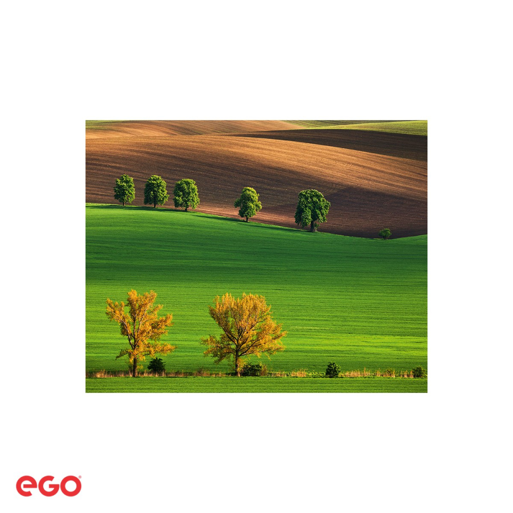 Calendar de birou Ego Green, 13 file, 20x10 cm, cu spira metalica [5]