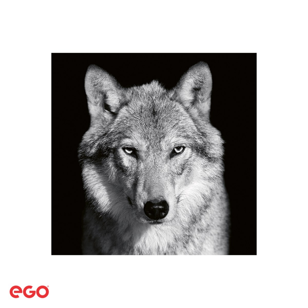 Calendar de perete Ego Animale, 13 file, 31.4x46 cm, cu spira metalica [5]