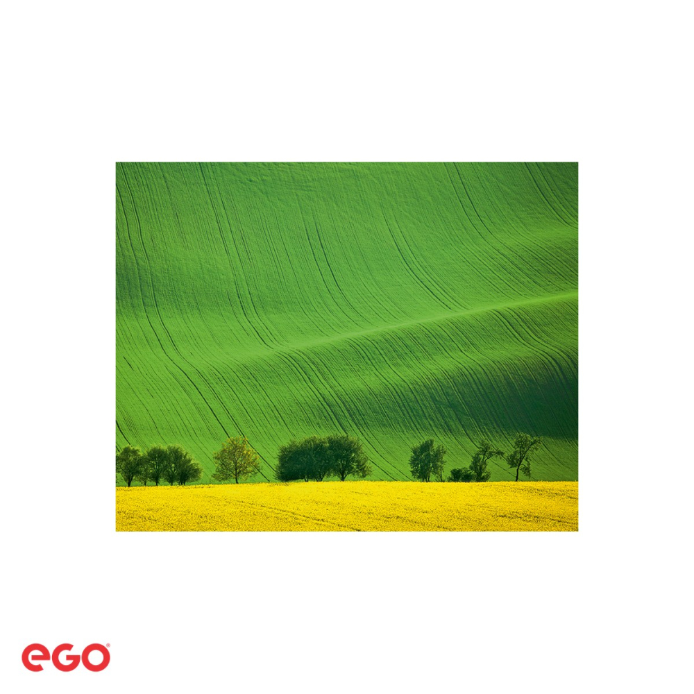 Calendar de perete Ego Green, 13 file, 31.4x46 cm, cu spira metalica [5]