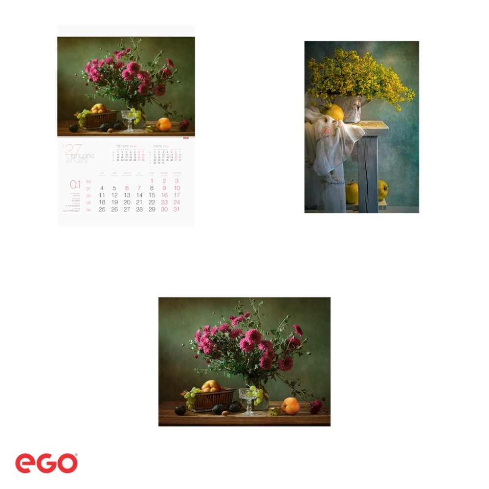Calendar de perete Ego Naturi Statice, 13 file, 31.4x46 cm, cu spira metalica [4]