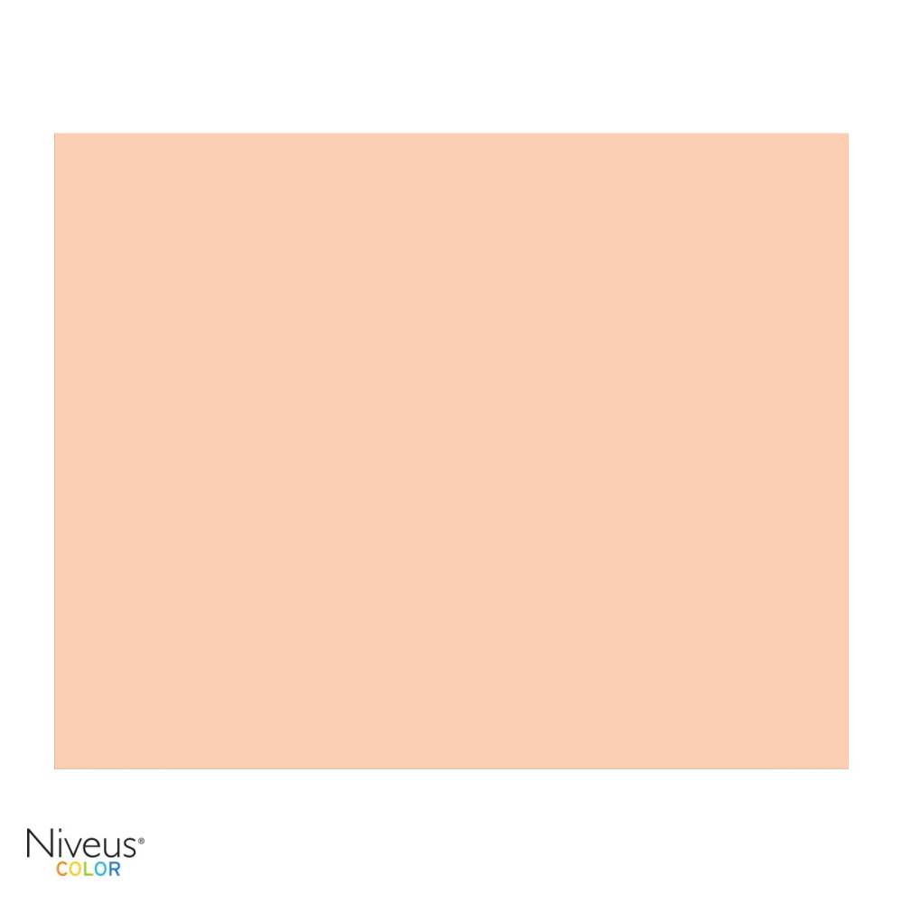 Carton copiator Niveus SA24 A4, somon pal, 160 g/mp, 250 coli [4]