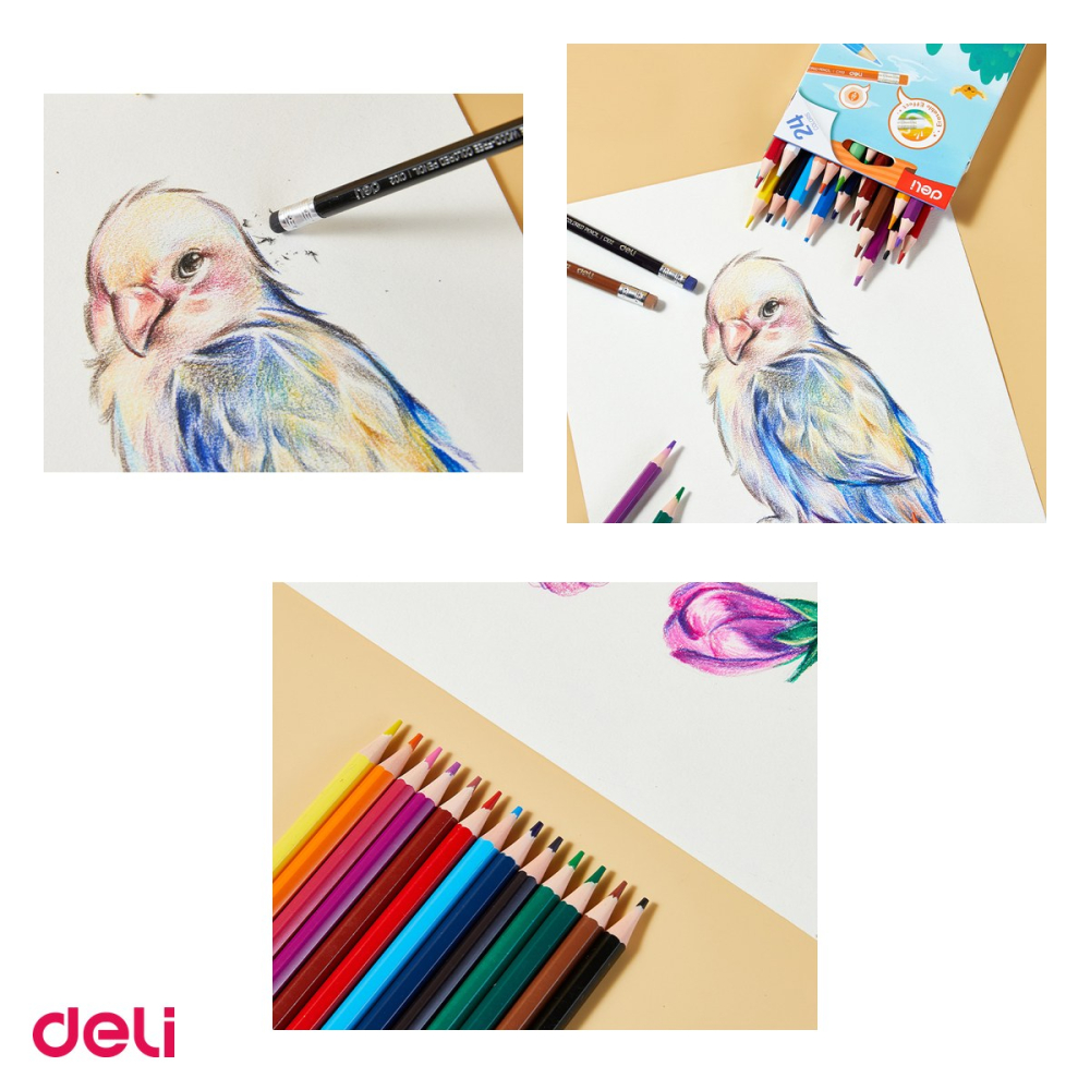 Creion colorat Deli, din plastic, creioane 24 culori guma [4]