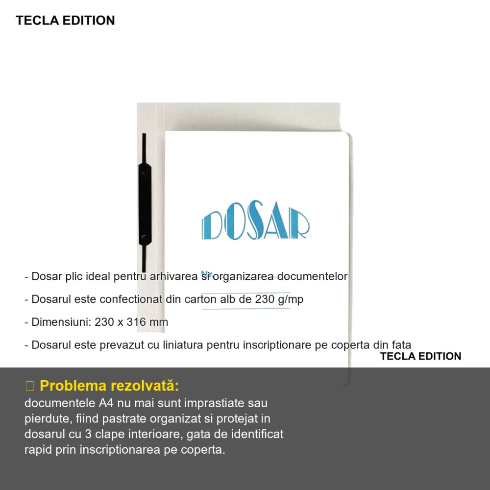 Set 10 dosare carton cu sina Tecla Edition Gold, pentru arhivare si organizare documente A4 [2]