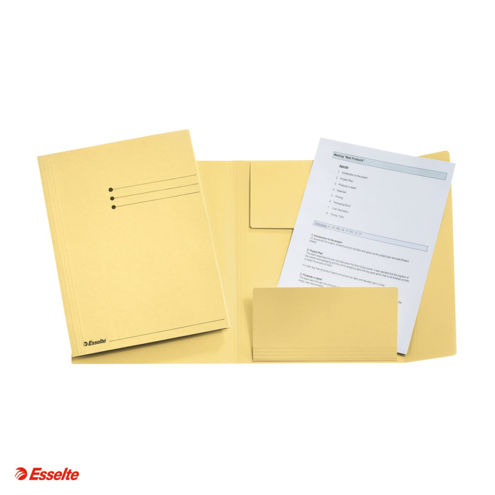 Dosar tip plic Esselte, carton, A4, capacitate 250 coli, pentru arhivare, galben [4]