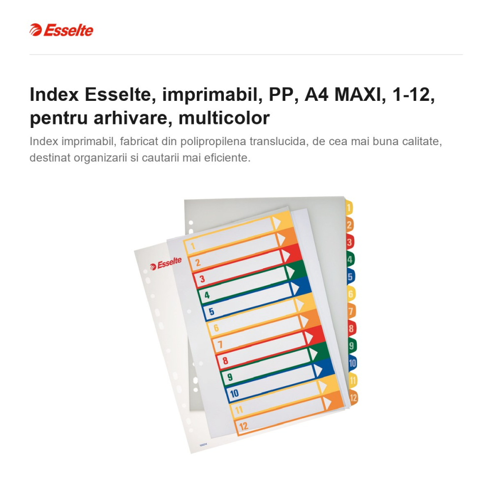 Index Esselte, imprimabil, PP, A4 MAXI, 1-12, pentru arhivare, multicolor [2]