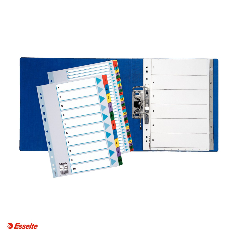 index Esselte Mylar, carton cu taste laminate, A4, 1-12, pentru arhivare, multicolor [4]
