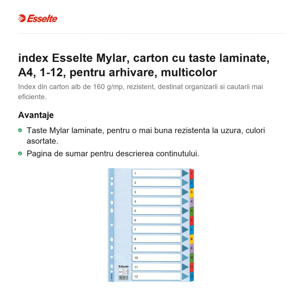 index Esselte Mylar, carton cu taste laminate, A4, 1-12, pentru arhivare, multicolor [2]