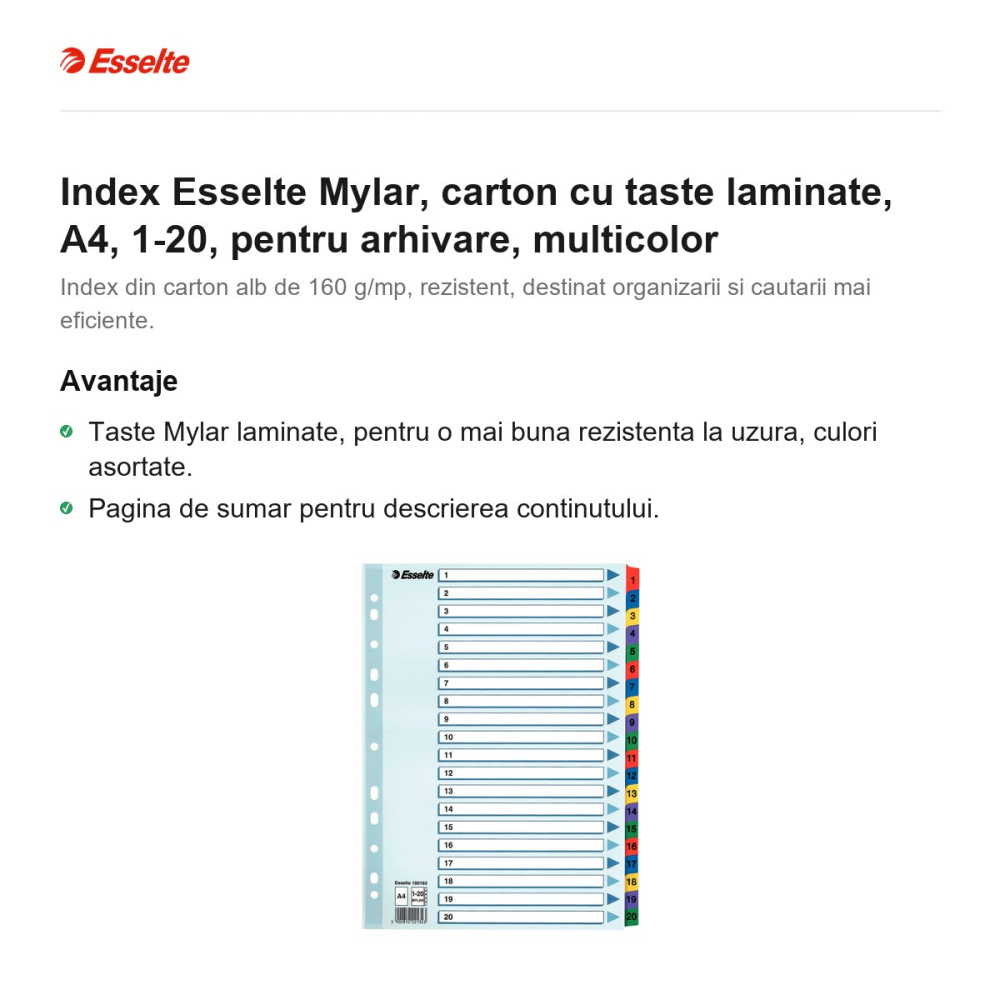 Index Esselte Mylar, carton cu taste laminate, A4, 1-20, pentru arhivare, multicolor [2]