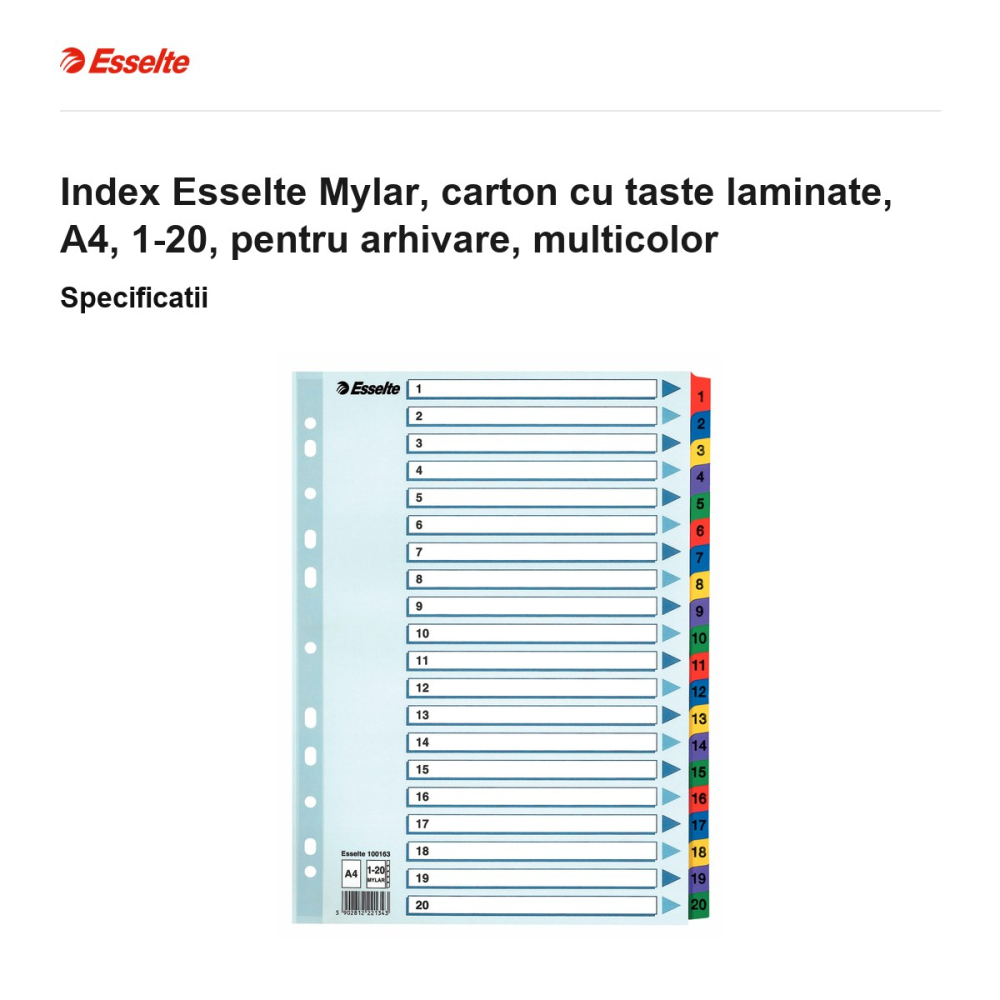 Index Esselte Mylar, carton cu taste laminate, A4, 1-20, pentru arhivare, multicolor [3]