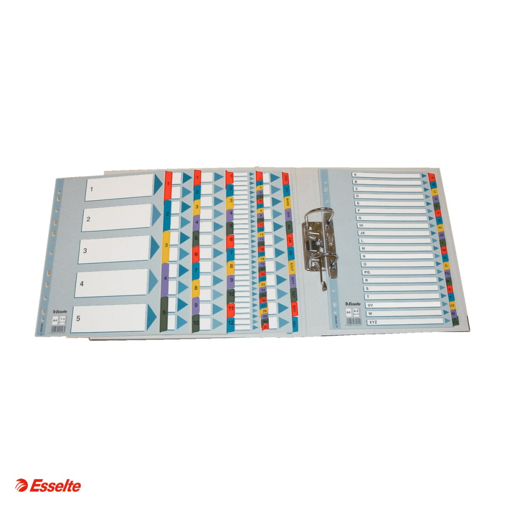 Index Esselte Mylar, carton cu taste laminate, A4, 1-5, pentru arhivare, multicolor [4]