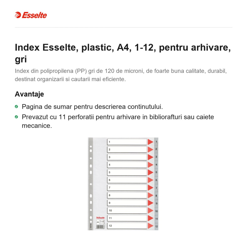 Index Esselte, plastic, A4, 1-12, pentru arhivare, gri [2]