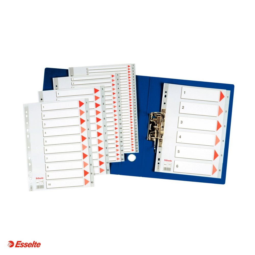 Index Esselte, plastic, A4, 1-6, pentru arhivare, gri [4]
